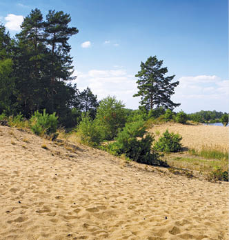 Fotografoval: Libor Svacek, Kaplicka 447, Cesky Krumlov, 381 01 CZ