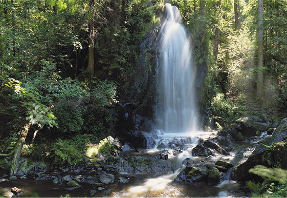 Fotografoval: Libor Svacek, Kaplicka 447, Cesky Krumlov, 381 01 CZ